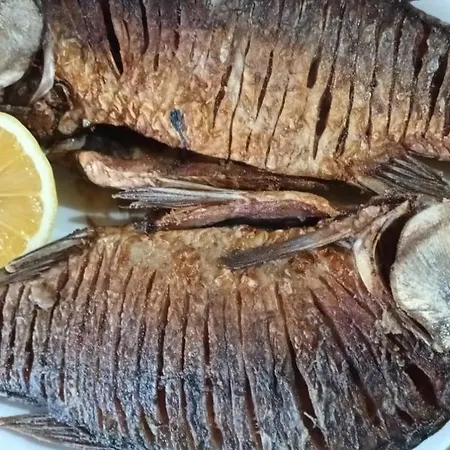 בית הארחה Casa Pescarului La Maxea *