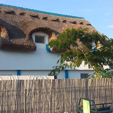Casa Pescarului La Maxea Guest house